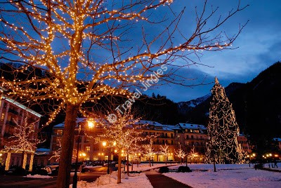 weihnachten_resort_winter_beleuchtung_auffahrt_baeume