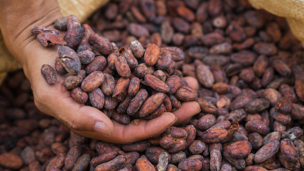 ABM00729haciendacañascacao